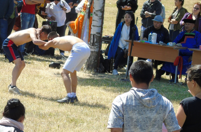 DSC01618 (700x459, 427Kb)