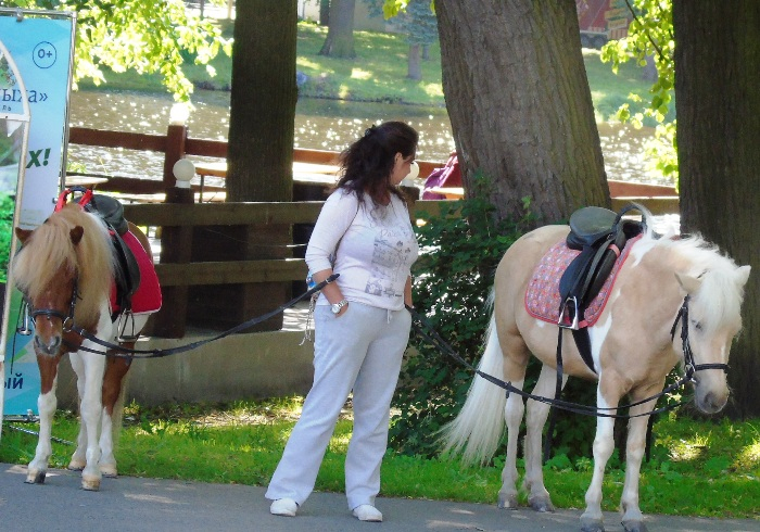 DSC01625 (700x490, 420Kb)