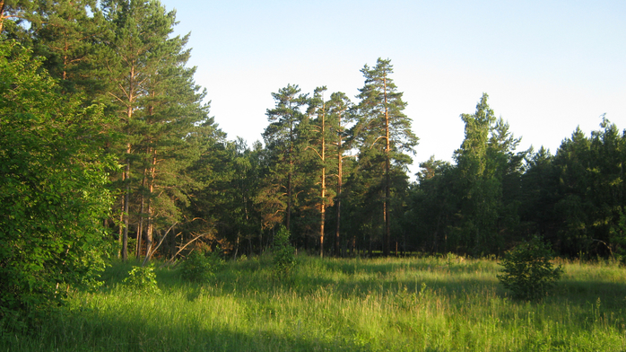 IMG_7281 (700x392, 420Kb)