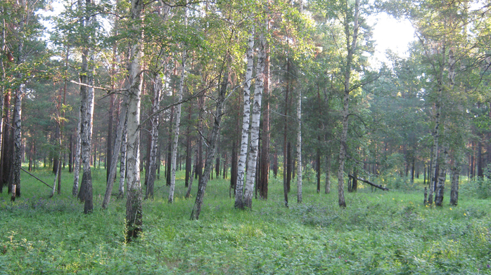 IMG_7302 (700x392, 502Kb)
