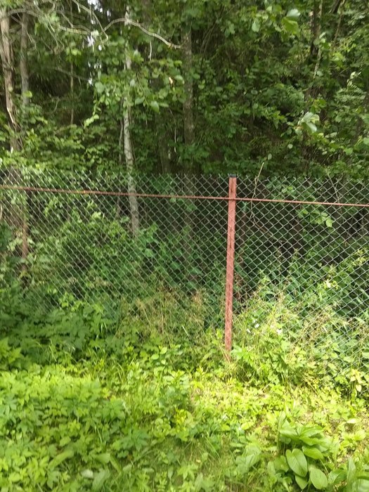IMG_20190702_123708 (525x700, 147Kb)