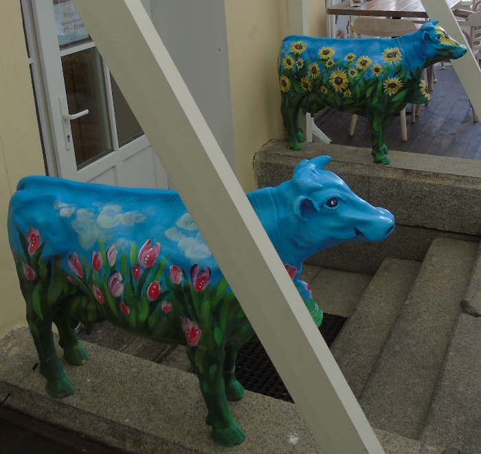 DSC02149 (700x660, 435Kb)