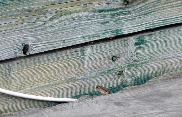 013 (700x451, 131Kb)