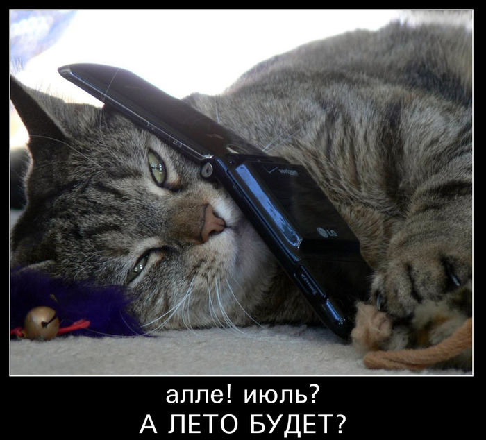 Котоматрица - 3 - Страница 40 149547785_RRS0