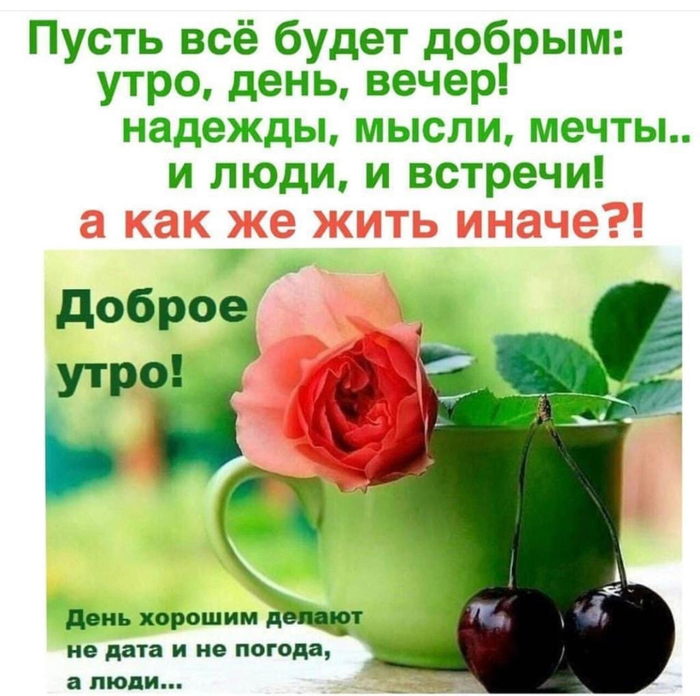 Открытка с цитатой о прекрасном дне