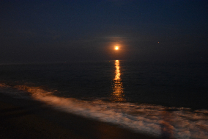 DSC_0193 (700x467, 248Kb)