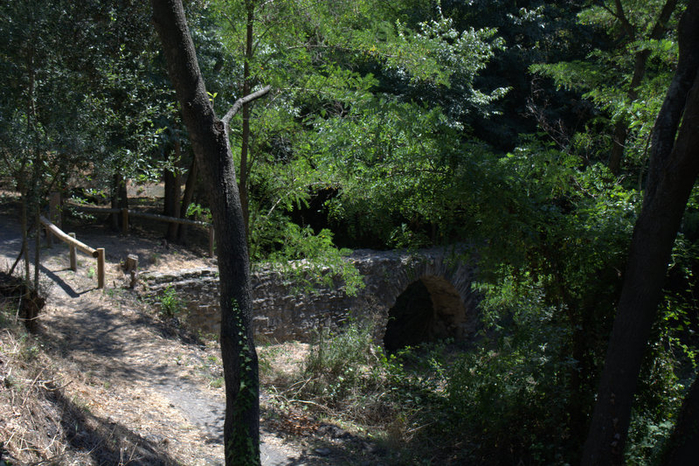DSC_0259 (700x466, 509Kb)