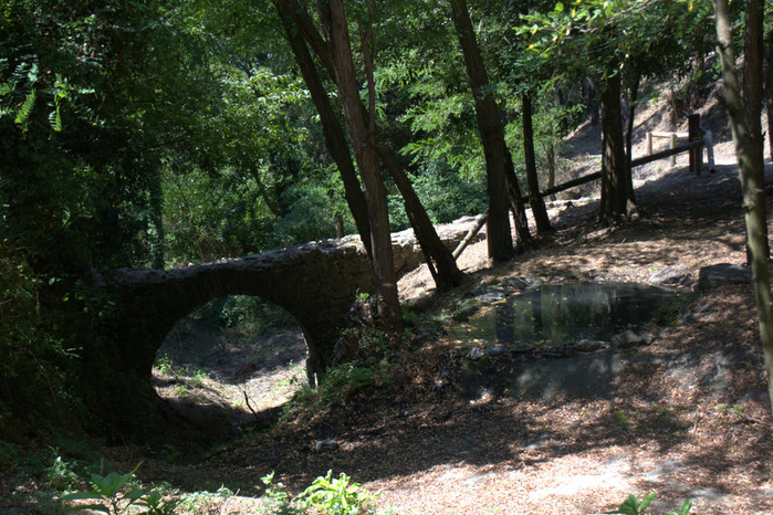DSC_0265 (700x466, 509Kb)