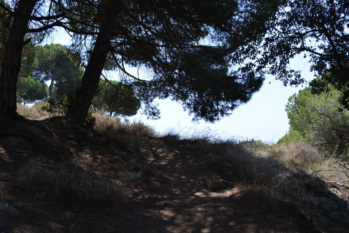 DSC_0278 (700x467, 472Kb)