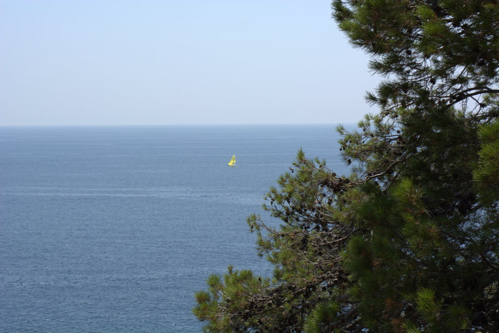 DSC_0402 (700x466, 290Kb)