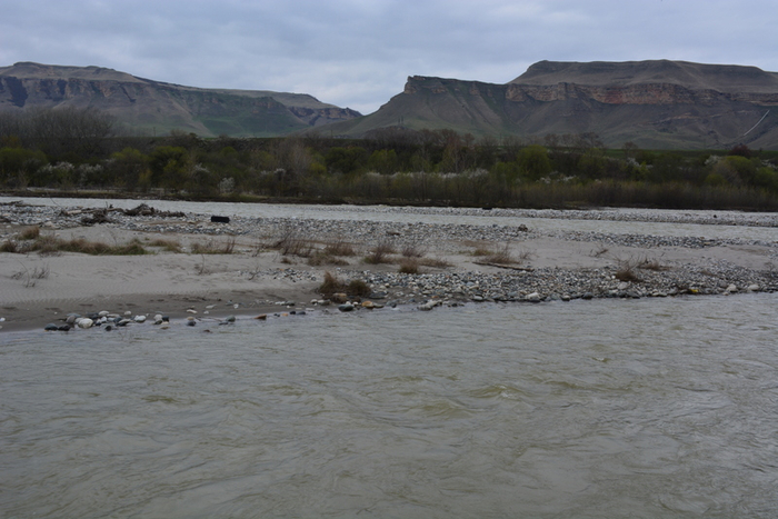 DSC_0865 (700x467, 333Kb)