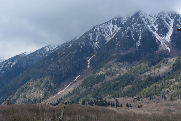 DSC_0871 (700x467, 341Kb)