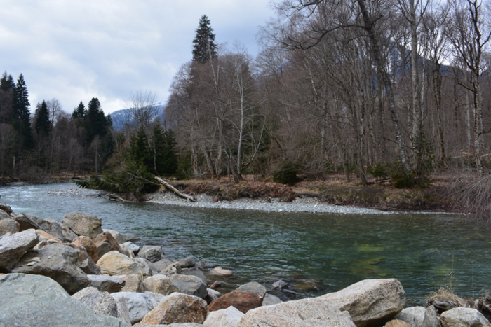 DSC_0873 (700x467, 398Kb)