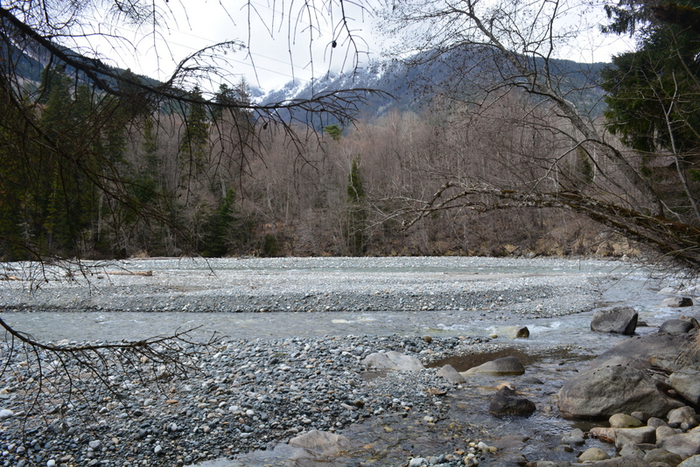 DSC_0932 (700x467, 490Kb)