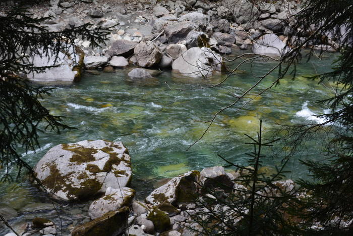DSC_0935 (700x467, 467Kb)