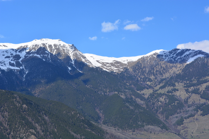 DSC_1038 (700x467, 352Kb)