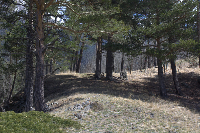 DSC_1041 (700x466, 470Kb)