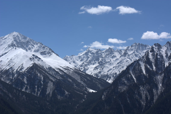 DSC_1055 (700x466, 264Kb)