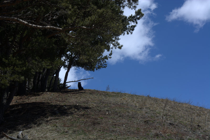 DSC_1059 (700x466, 311Kb)