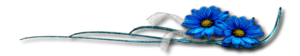 2714816_12_1_ (300x56, 17Kb)