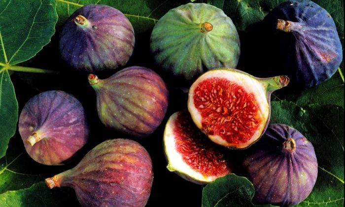 3419483_figs_getty240056a496c75f9b58b7d0d7b5221000x600 (700x420, 64Kb)