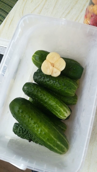 6335022_IMG20190718WA0001 (395x700, 147Kb)