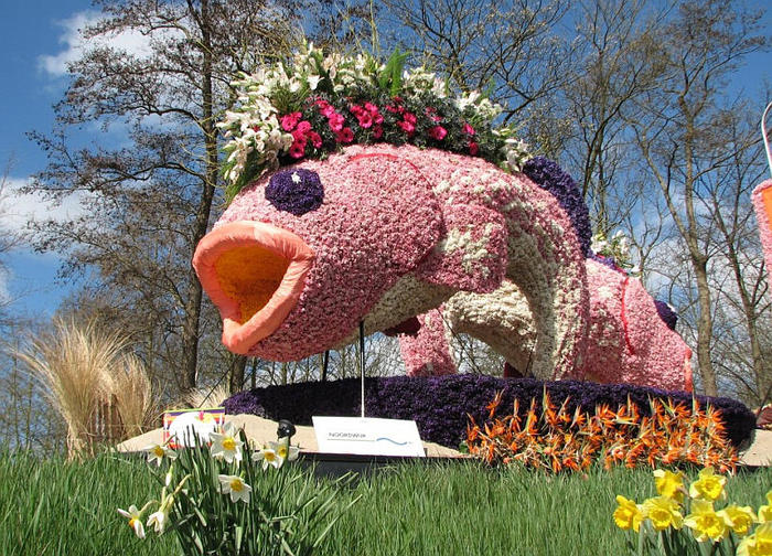 Bloemencorso_artmaki-50 (700x504, 140Kb)