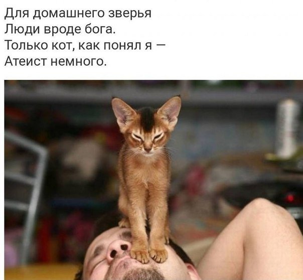 2814662806 (604x558, 45Kb)