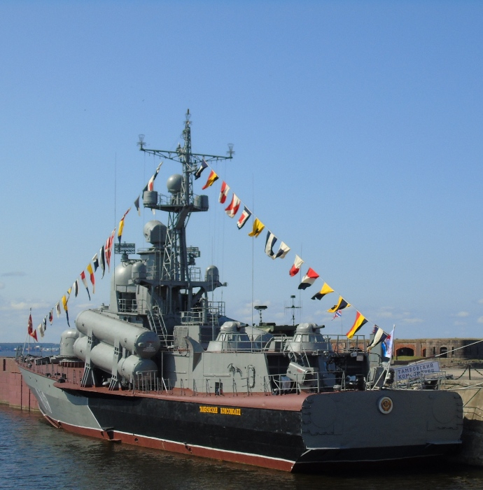 DSC01232 (690x700, 361Kb)