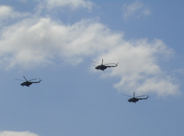 DSC01316 (700x517, 229Kb)