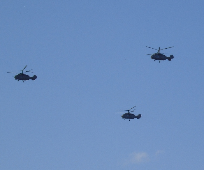 DSC01322 (700x584, 221Kb)