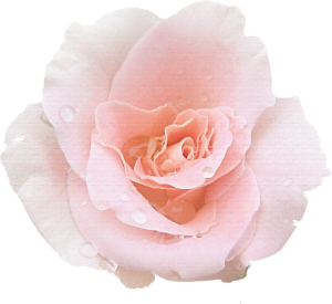 18 (300x275, 115Kb)