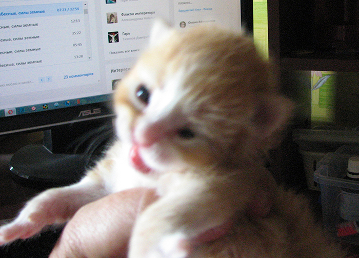 IMG_3524 (700x503, 496Kb)