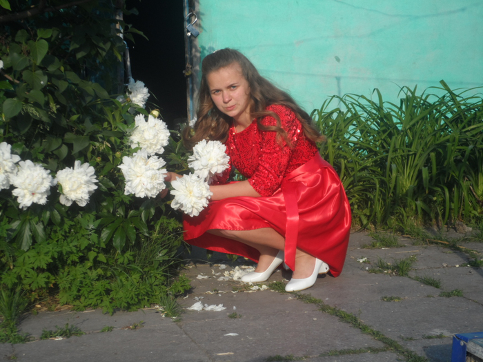 SAM_3309 (700x525, 422Kb)