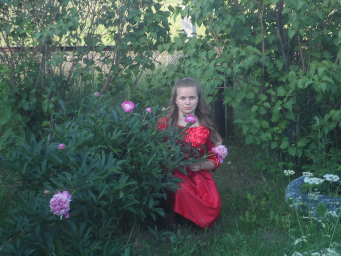 SAM_3311 (700x525, 440Kb)