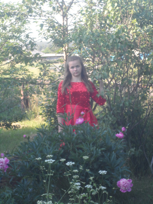 SAM_3315 (525x700, 483Kb)