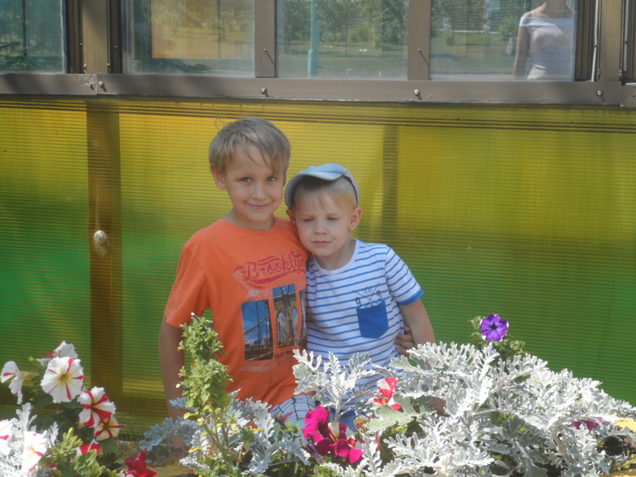 SAM_3334 (700x525, 430Kb)