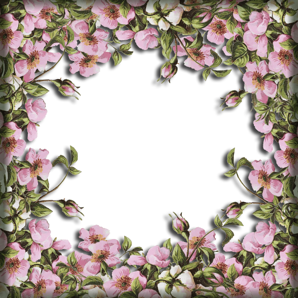 149077451_FRAME_B_230816.png