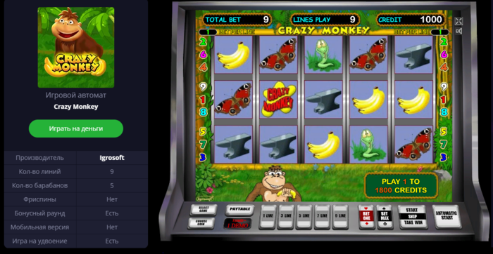 crazy monkey описание игрового автомата
