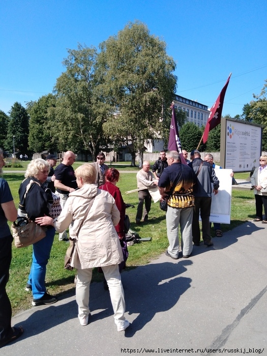 Андрис Оролс в Защиту Свастики и Против Полицейского Произвола в Латвии 2.8.2019.Рига,Латвия,112 (525x700, 313Kb)