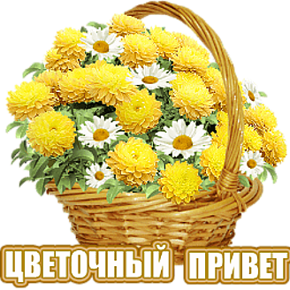 Картинки цветочный привет