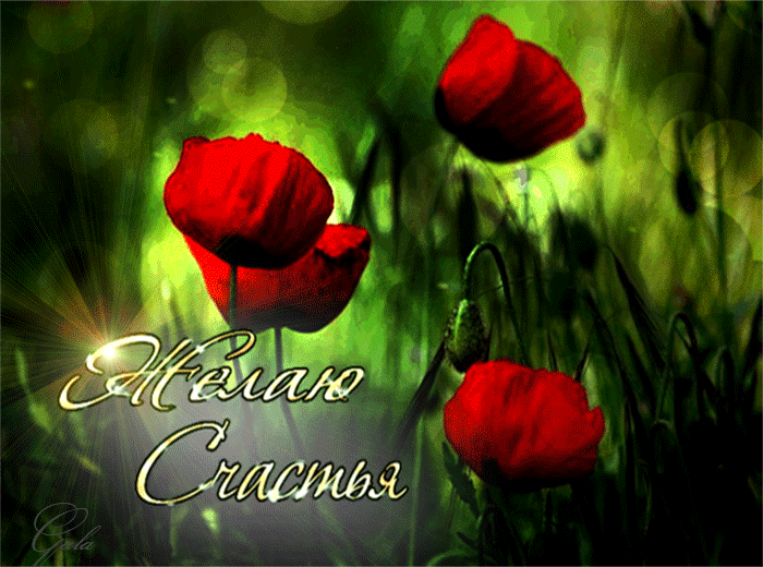 3470549_schastya_ (700x520, 3813Kb)