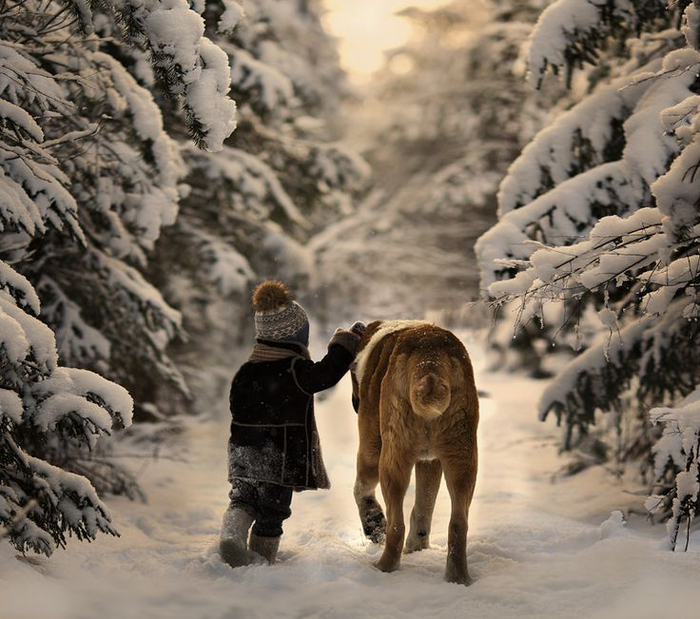 a55f848238c2147bc373c2595739e2f0--snow-pictures-friend-photography (700x619, 419Kb)