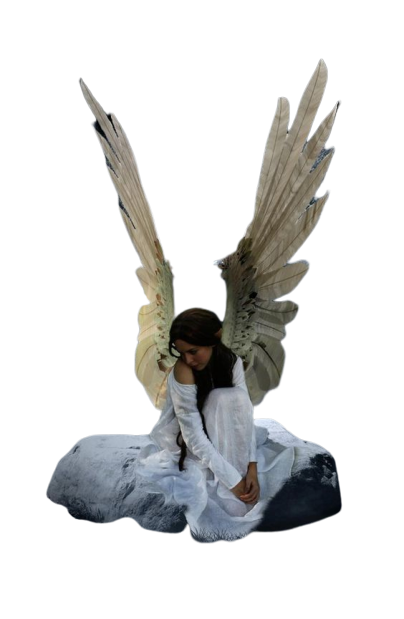 428b098afedc127711b4c0c404823964--fallen-angels-guardian-angels-removebg-preview (404x619, 156Kb)