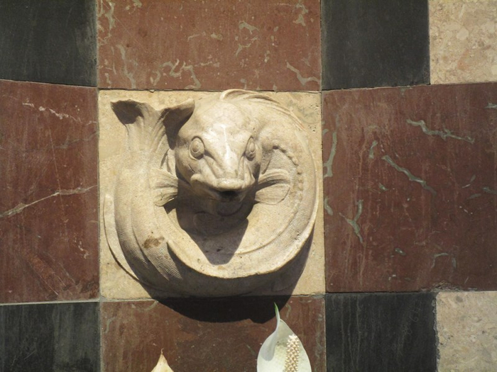 IMG_4977 (700x525, 334Kb)