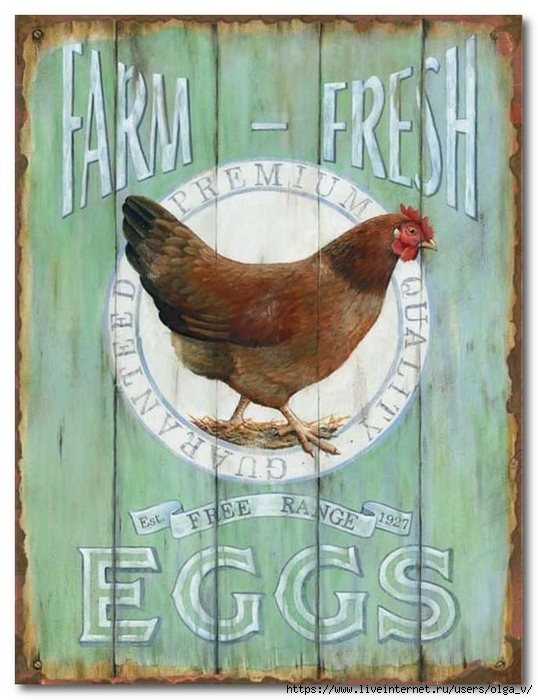 barynayrd-fresh-eggs-sign-e1513225133284 (538x700, 265Kb)