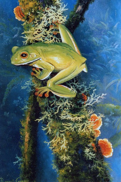 frog-over-pond. (425x640, 335Kb)