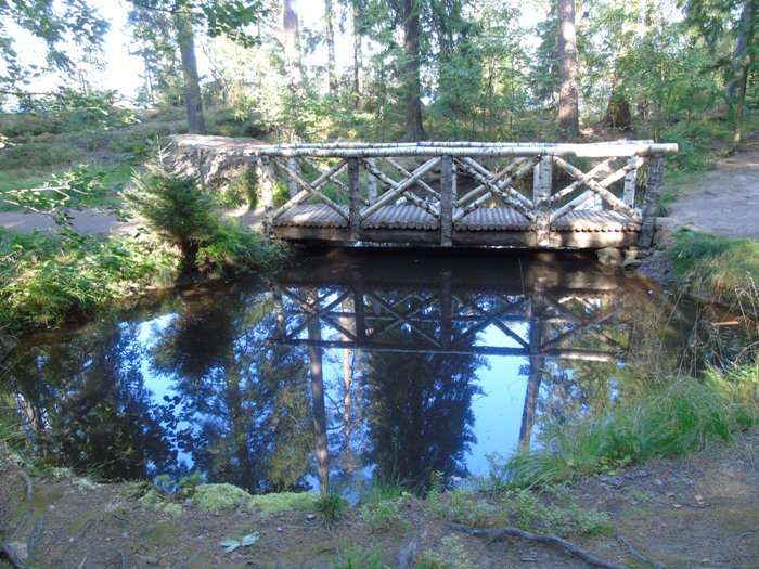 DSC03320 (700x525, 480Kb)