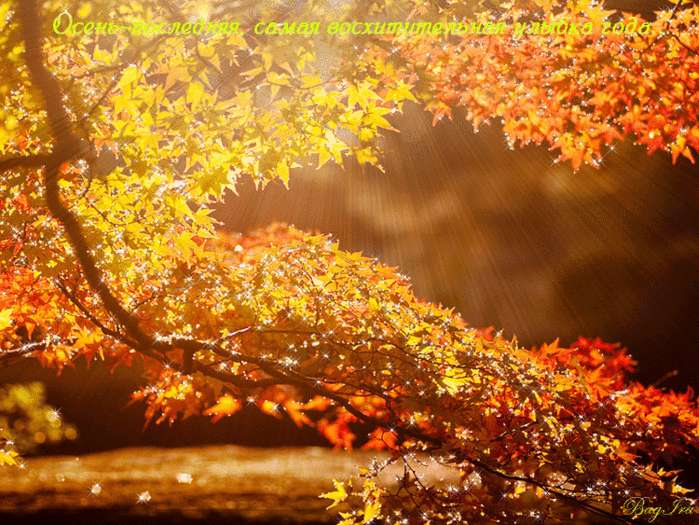 5 (699x525, 1068Kb)