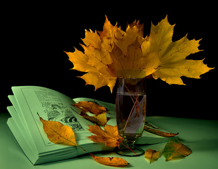 Долгими осенними вечерами мы читали. Осенний букет и книга. Картинки на телефон букет из осенних листьев. Тайна осеннего вечера 1910.